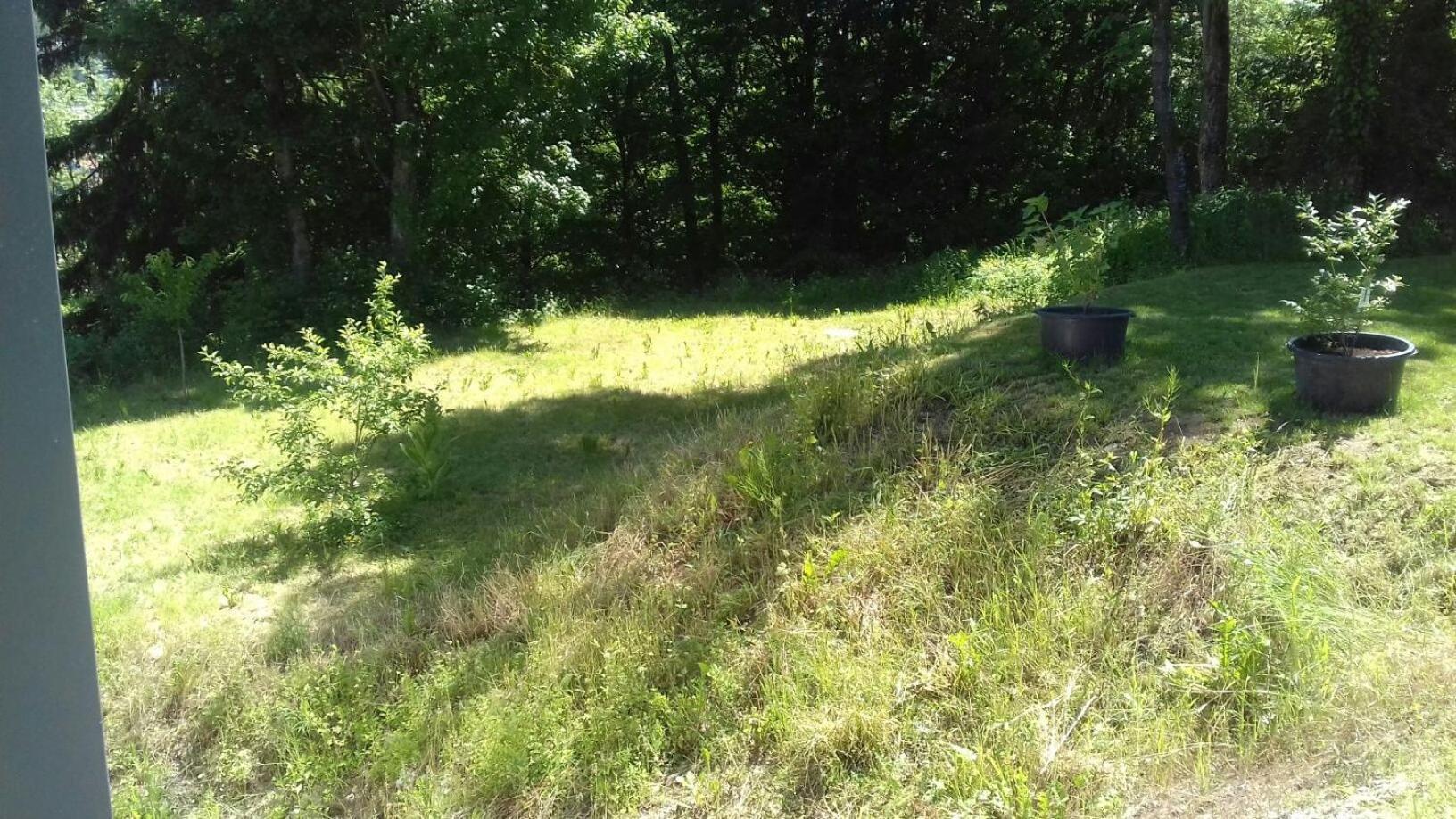 Ferienwohnung Ameis Heiligenstadt in Oberfranken Buitenkant foto